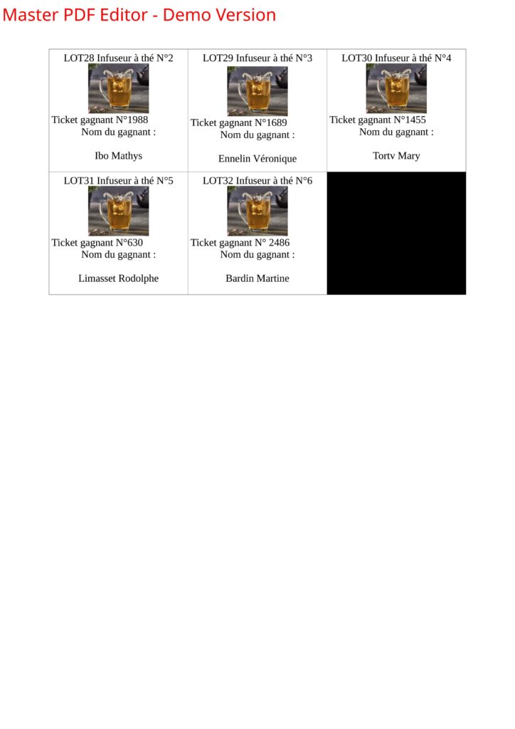 TIRAGE AU SORTrempli (1)_3