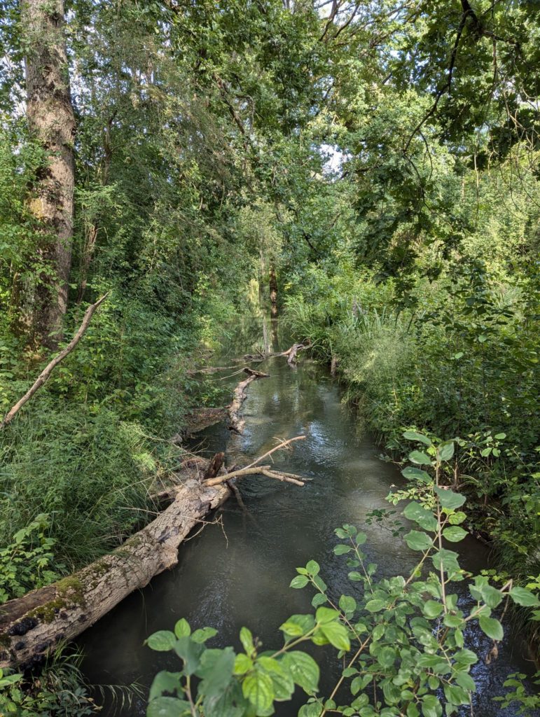 rivière