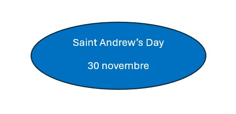 Capture d’écran 2024-11-29 200830