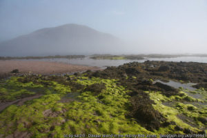 3 geograph-799941-by-Bob-Jones