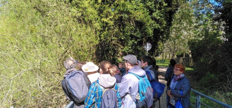 Fête du Parc Naturel Urbain 2025