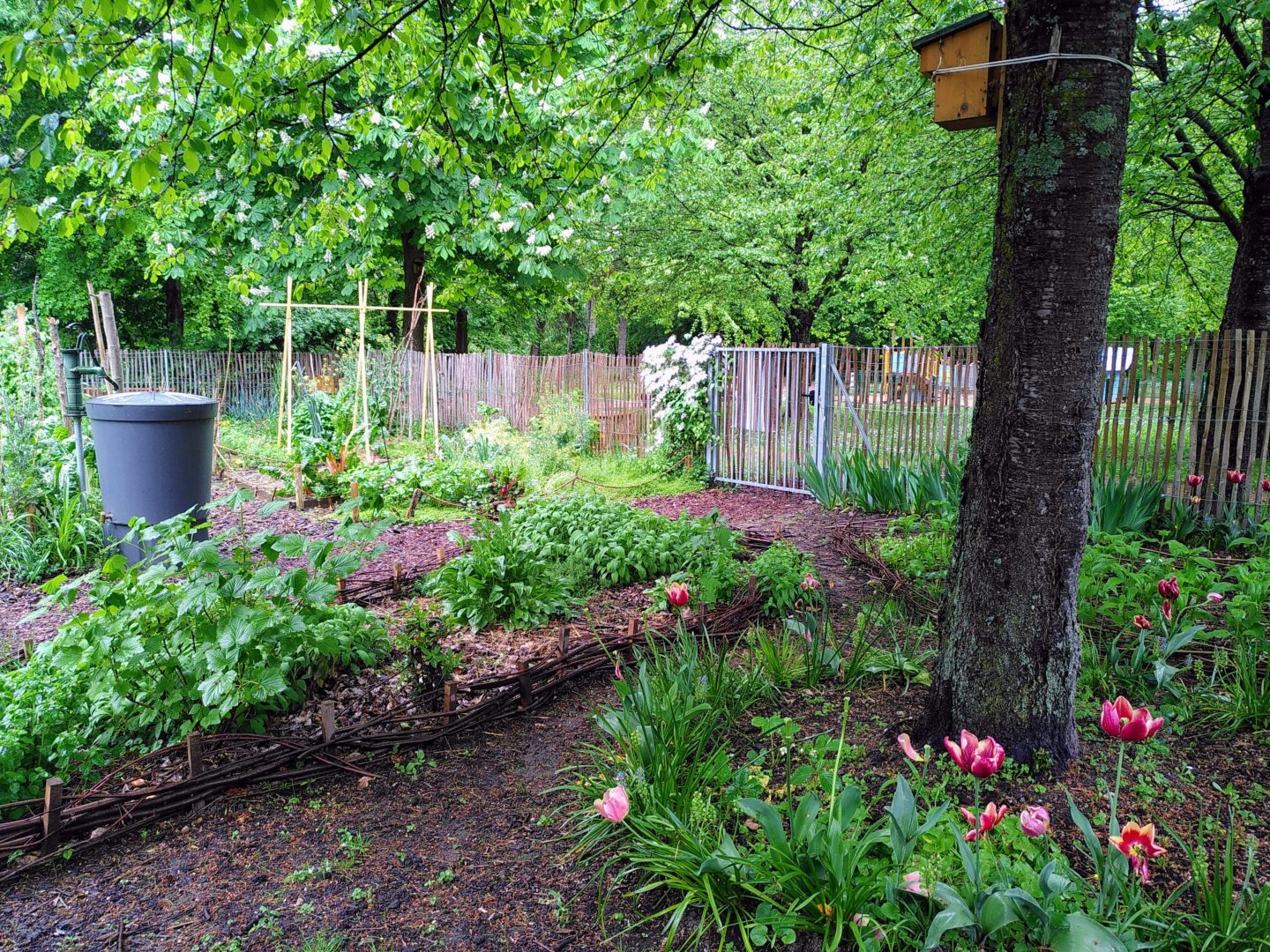 Le jardin de l'Aubépine