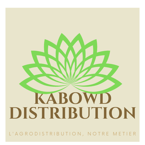 KABOWD Holding (6)