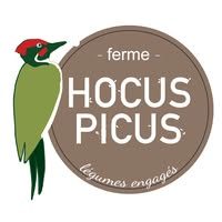 ocus picus