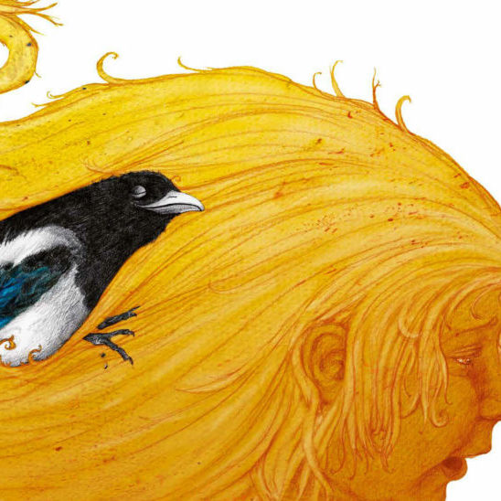 visuel plumes en zic
