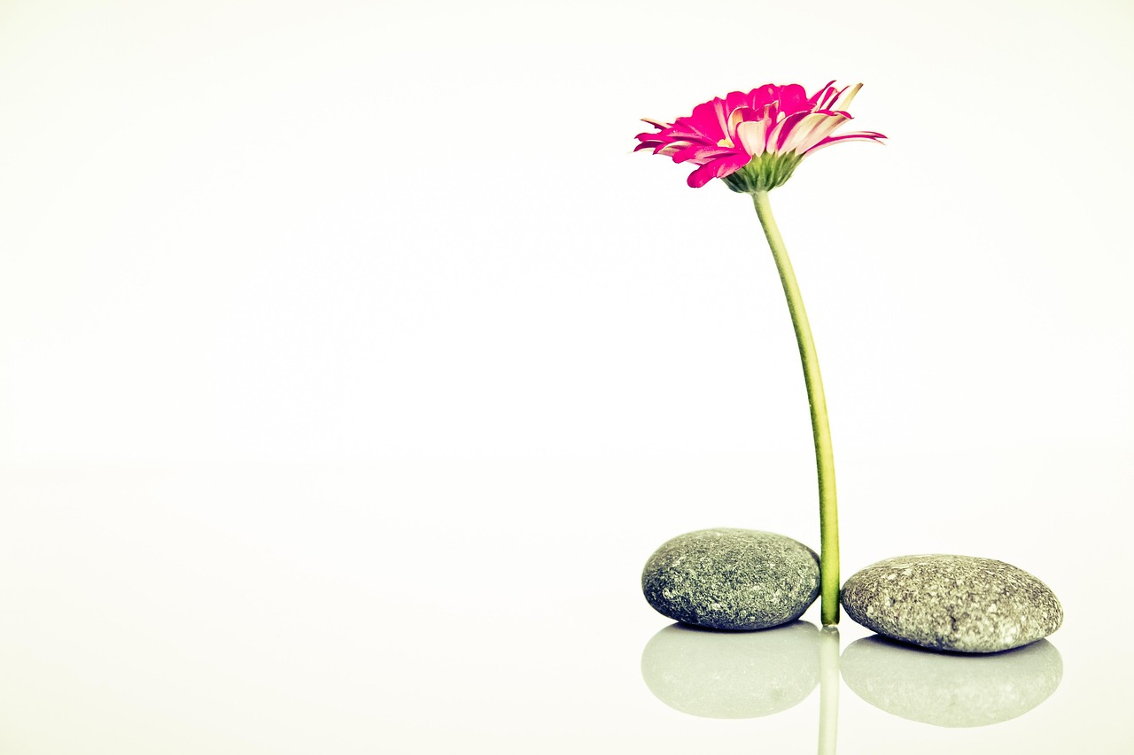 Lumineuse Ô Naturel