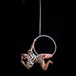 aerial-hoop-2441849_640