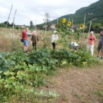 Jardin Partagé - Arrosage première butte permaculture - 20220726-1