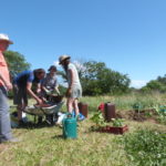 Jardin Partagé - Création première butte permaculture - 20220525-4