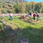 Jardin Partagé - Nettoyage du ruisseau - 20221020-1