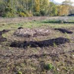Jardin Partagé - Préparation des planches - 20221207-1