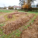 Jardin Partagé - Préparation des planches - 20221207-2
