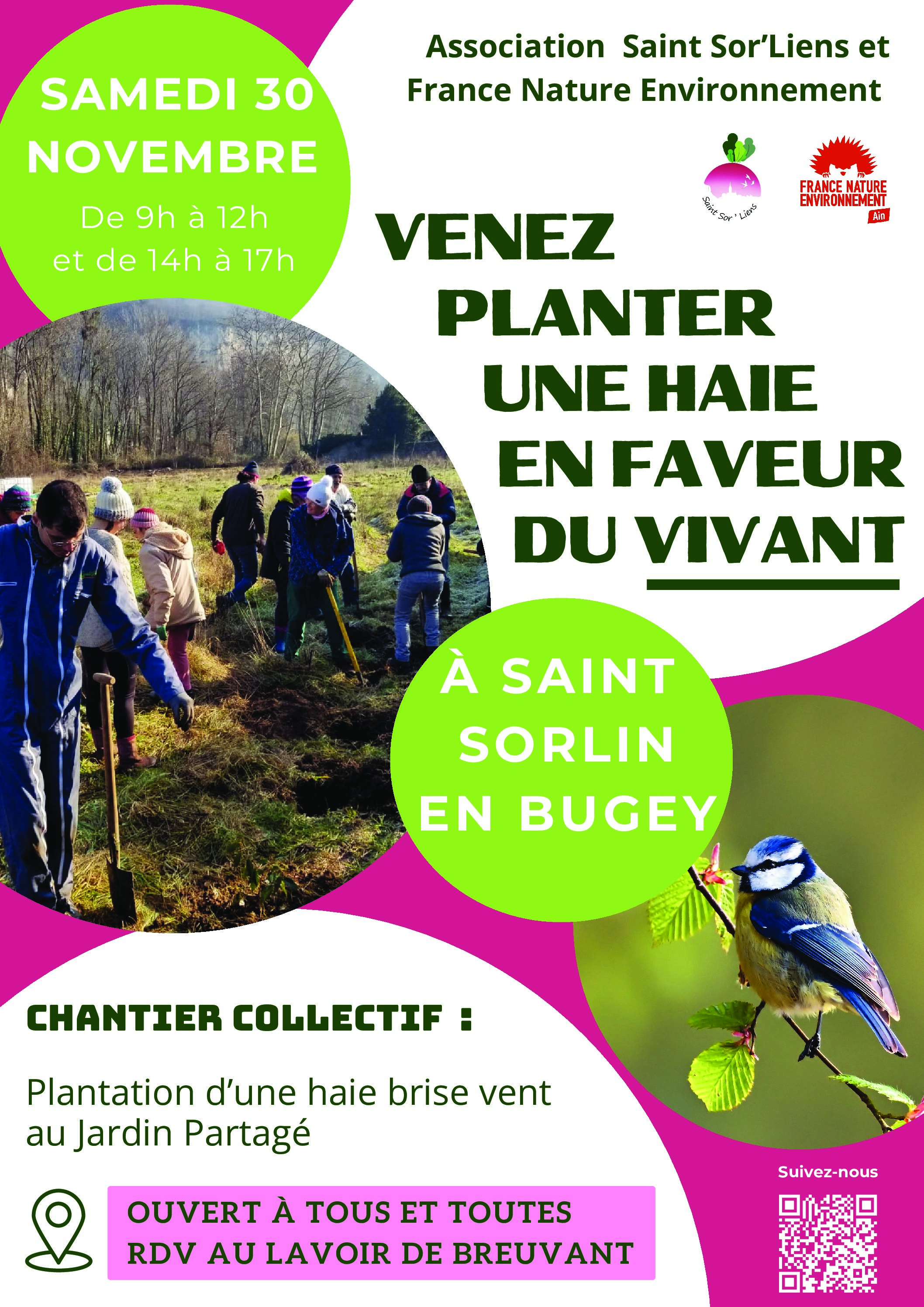 30 novembre 2024: Chantier collectif – Plantation d’une haie champêtre