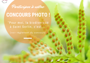 Concours photo biodiversité