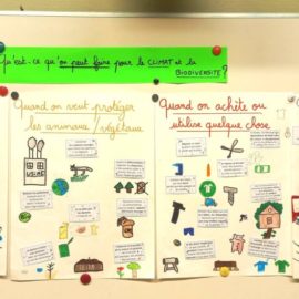 Les enfants face au Climat et à la Biodiversité:  Comprendre et agir avec eux! (exemple d&rsquo;atelier CM1-CM2)